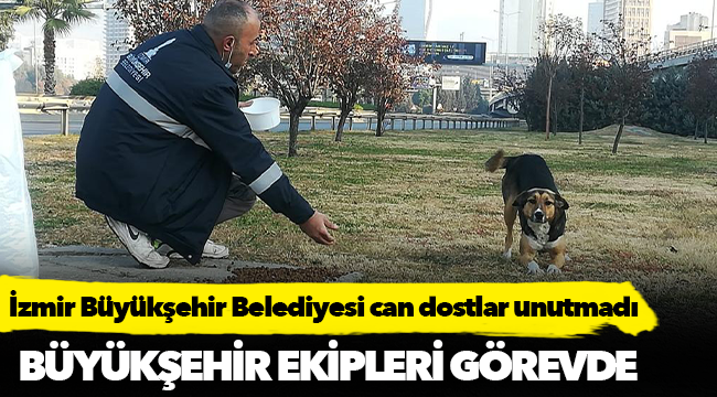 Can dostlar unutulmadı