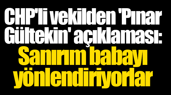 CHP'li vekilden 'Pınar Gültekin' açıklaması: Sanırım babayı yönlendiriyorlar