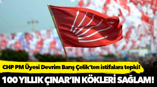 CHP PM Üyesi Çelik'ten, istifa eden milletvekillerine  "CHP 100 yıllık Çınar’ın kökleri sağlam, dalları canlıdır"