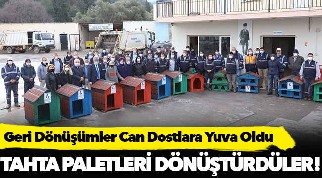 Geri Dönüşümler Can Dostlara Yuva Oldu