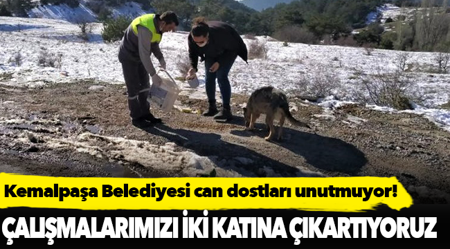 KEMALPAŞA BELEDİYESİ CAN DOSTLARI UNUTMUYOR