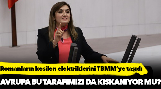 Kılıç, "Holdinglerin Milyon Liralık vergi borçlarını silen AKP iktidarı, Romanların elektrik borçlarına duyarsız”