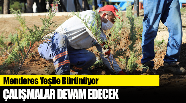 Menderes Yeşile Bürünüyor