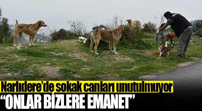 Narlıdere’de sokak canları unutulmuyor