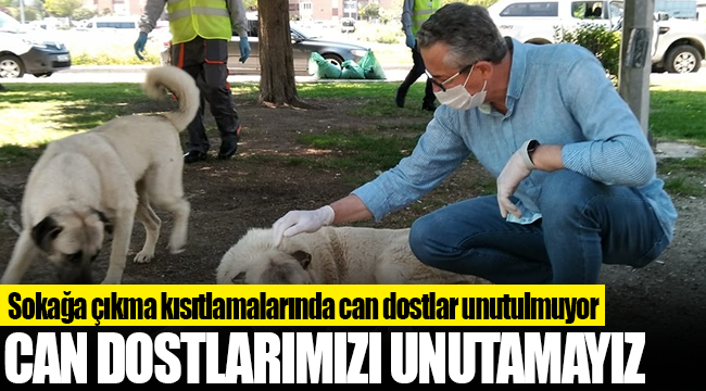 Sokağa çıkma kısıtlamalarında can dostlar unutulmuyor