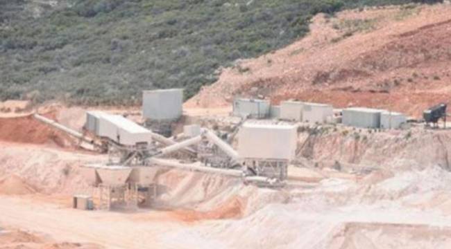 Taşocağı için on binlerce ağaç kesilmesi planlanıyor