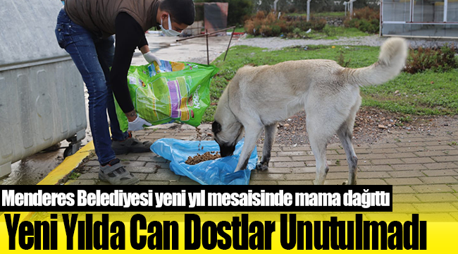 Yeni Yılda Can Dostlar Unutulmadı