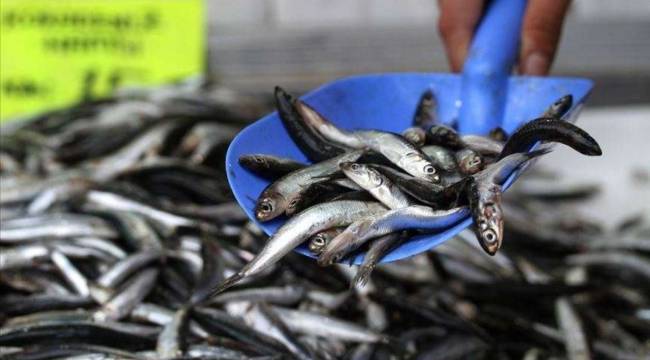 Bakanlık duyurdu: Kısıtlama kalkıyor