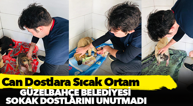 Can Dostlara Sıcak Ortam