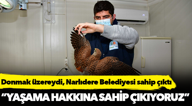 Donmak üzereydi, Narlıdere Belediyesi sahip çıktı