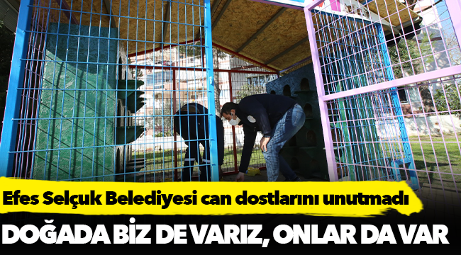 Efes Selçuk Belediyesi can dostlarını unutmadı