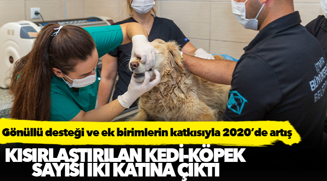 Gönüllü desteği ve ek birimlerin katkısıyla 2020’de artış