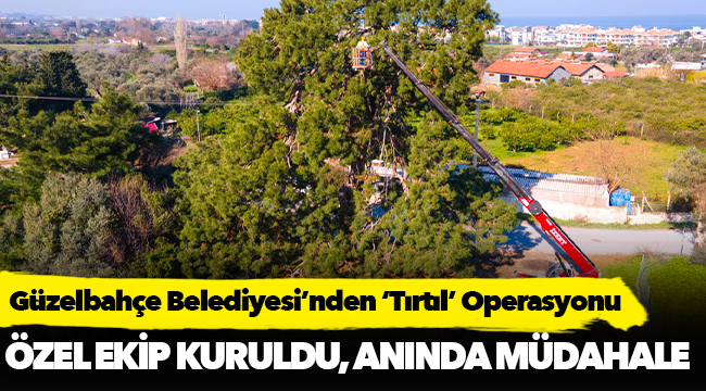 Güzelbahçe Belediyesi’nden ‘Tırtıl’ Operasyonu