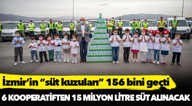 İzmir’in “süt kuzuları” 156 bini geçti