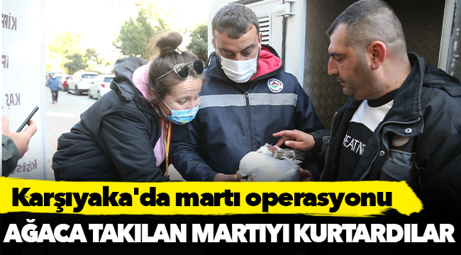 Karşıyaka'da martı operasyonu