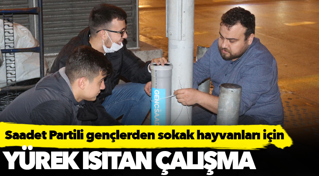 Saadet Partili gençlerden sokak hayvanları için yürek ısıtan çalışma