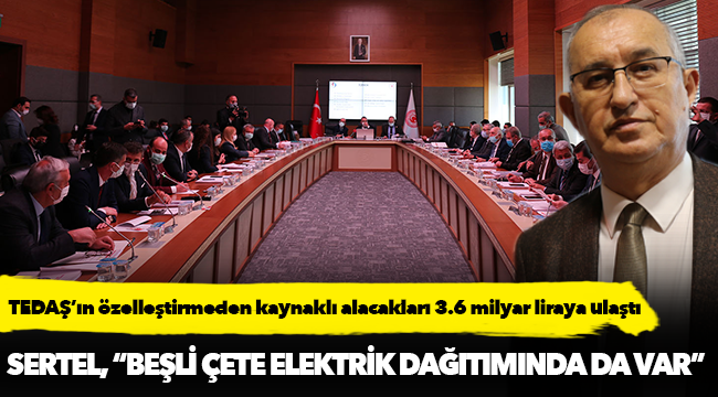 Sertel, 'Beşli çetenin üyeleri elektrik dağıtımında da tekelleşmiş'