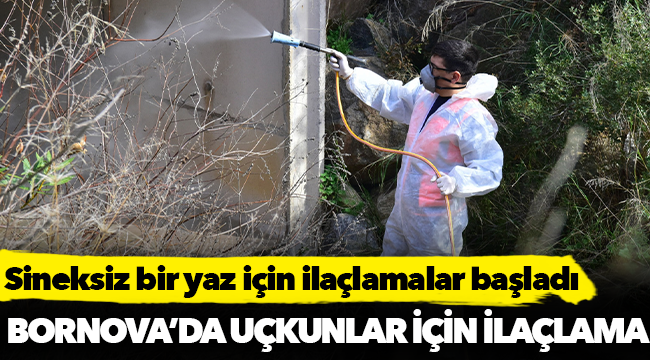 Sineksiz bir yaz için ilaçlamalar başladı