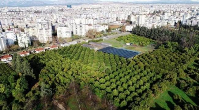 Tarımsal üretimin hafızası spor sahası yapılacak!