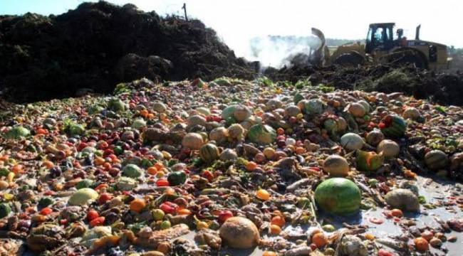 30 milyondan fazla insana hayat boyu yetecek gıda çöpe gidiyor