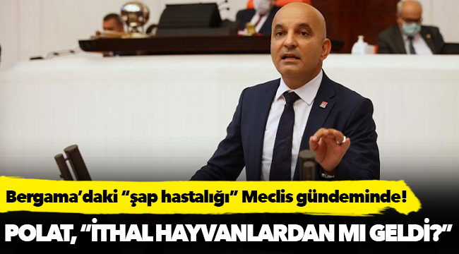 Bergama’daki “şap hastalığı” Meclis gündeminde!