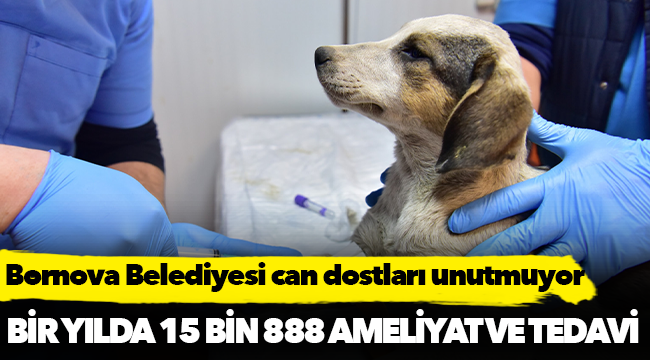 Bornova Belediyesi can dostları unutmuyor