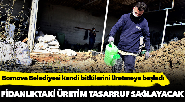 Bornova Belediyesi kendi bitkilerini üretmeye başladı