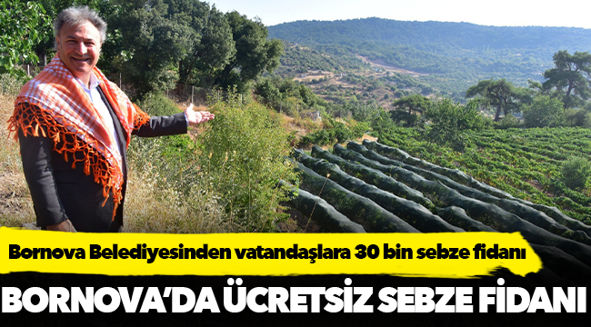 Bornova Belediyesinden vatandaşlara 30 bin sebze fidanı