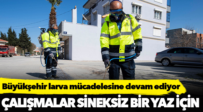 Büyükşehir larva mücadelesine devam ediyor