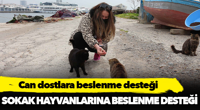 Can dostlara beslenme desteği