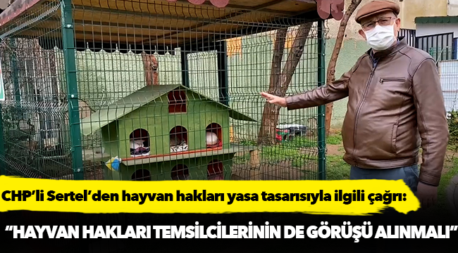 CHP’li Sertel’den hayvan hakları yasa tasarısıyla ilgili çağrı