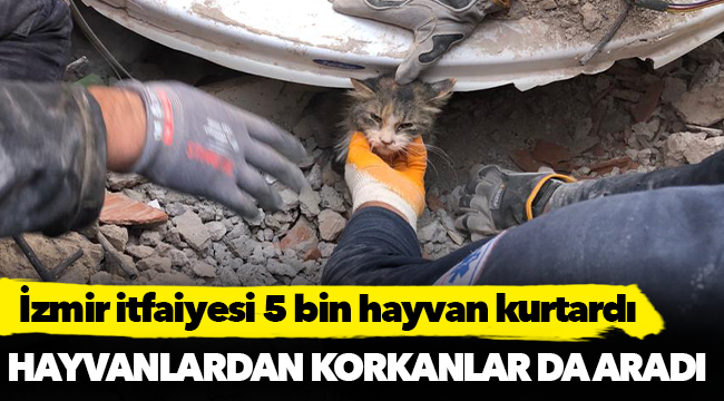İzmir itfaiyesi 5 bin hayvan kurtardı