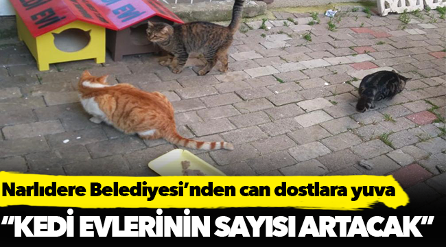 Narlıdere Belediyesi’nden can dostlara yuva
