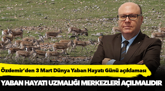 Özdemir, "Yaban hayatı uzmanlığı merkezleri açılmalıdır"