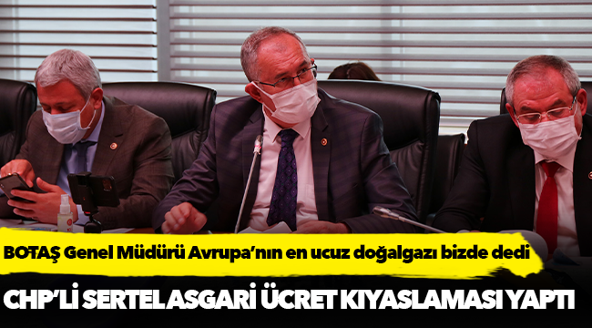 Sertel, 'Türkiye’de asgari ücretli İngiltere’deki asgari ücretlinin dörtte biri kadar doğalgaz alabiliyor'