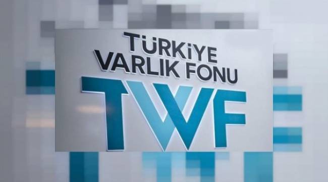 Varlık Fonu Genel Müdürü Ermut oldu