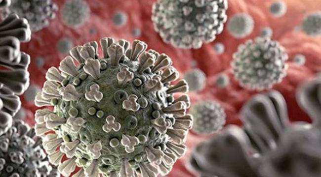 Bilim insanları: Aşılar mutasyonlara karşı etkisiz kalabilir