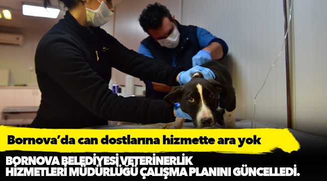 Bornova’da can dostlarına hizmette ara yok