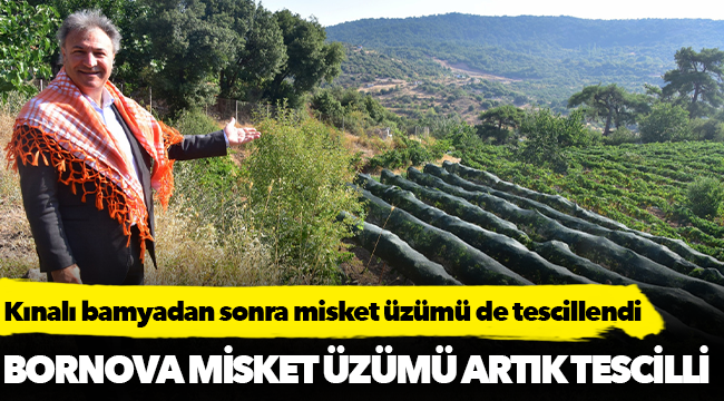 Bornova Misket Üzümü artık tescilli