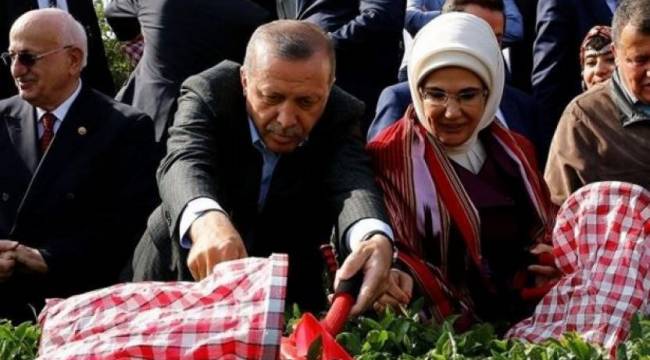 'Çaykur'un aşırı borçlanmasının nedeni Varlık Fonu'na devri'