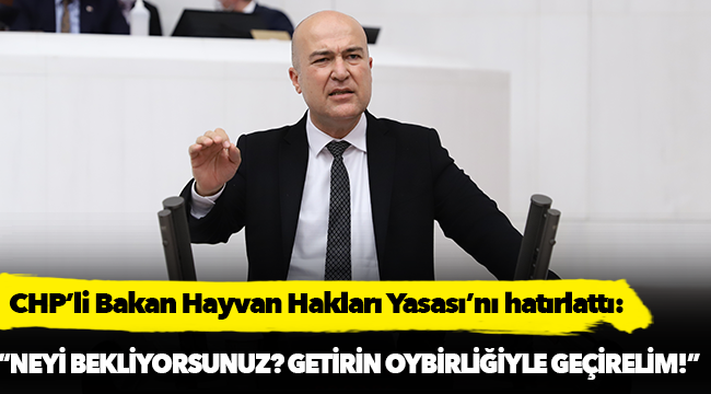 CHP’li Bakan Hayvan Hakları Yasası’nı hatırlattı