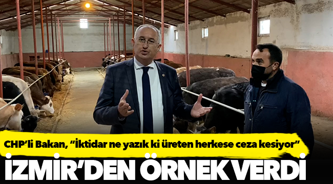 CHP'li Sertel, "İktidar ne yazık ki üreten herkese ceza kesiyor"