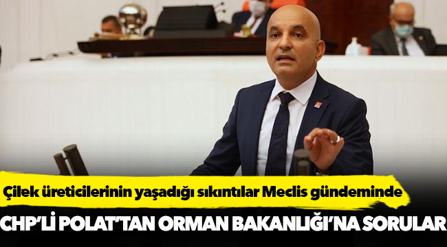 Çilek üreticilerinin yaşadığı sıkıntılar Meclis gündeminde