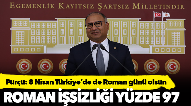 Purçu: Romanların yaşadığı orta çağı şimdi bütün insanlarımız yaşıyor