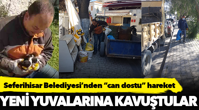 Seferihisar Belediyesi’nden “can dostu” hareket