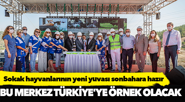 Sokak hayvanlarının yeni yuvası sonbahara hazır