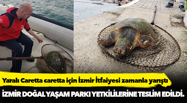 Yaralı Caretta caretta için İzmir İtfaiyesi zamanla yarıştı