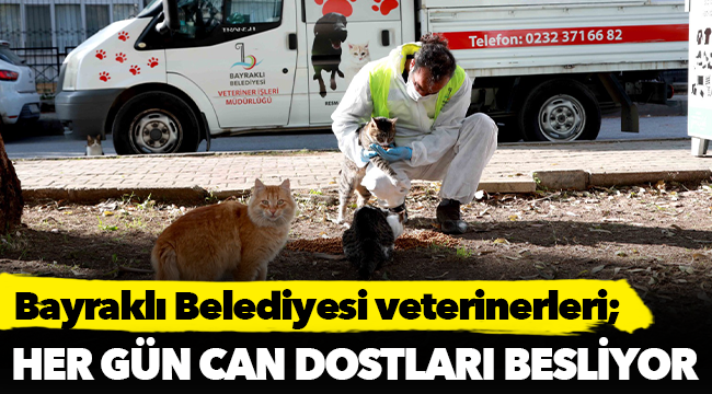 Bayraklı Belediyesi veterinerleri her gün can dostları besliyor