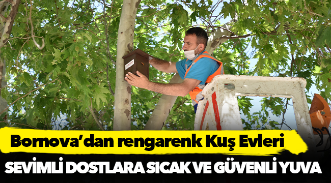 Bornova’dan rengarenk Kuş Evleri