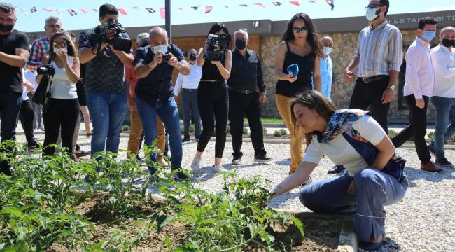 Efes Tarlası Yaşam Köyü Açılışa Hazır